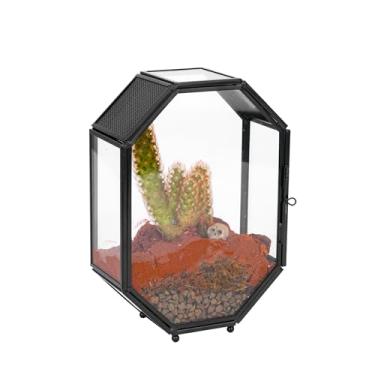 Imagem de NCYP Mini cercado de vidro para insetos com ventilação e porta para aranhas saltadoras, 12 x 5 x 18 cm em formato octógono, pequenas plantas geométricas fechadas, terrário, decoração de mesa interna