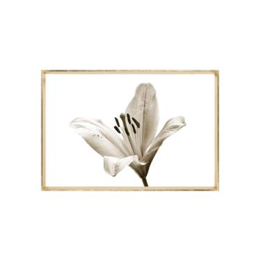Imagem de Quadro Decorativo com Vidro Sala Hall Quarto 64x94cm Branco Flor