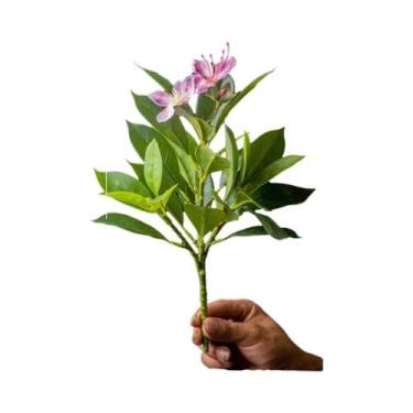 Imagem de Plantas Artificiais De Azaleia De 21-40cm, Folhas De Palmeira Tropical