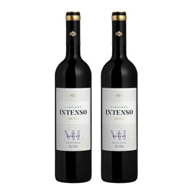 Imagem de Kit 2 Un Vinho Salton Intenso Merlot 750 ml