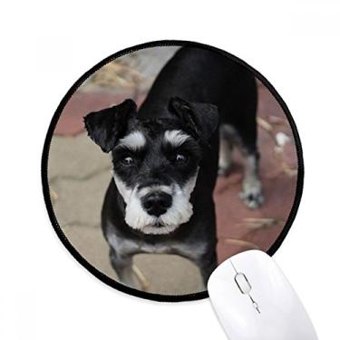 Imagem de Tapete de rato preto cachorro animal animal de estimação imagem bonito desktop escritório tapete redondo para computador