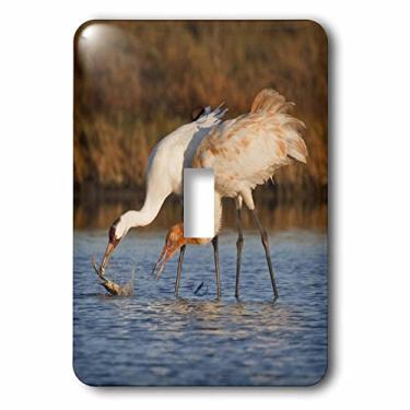 Imagem de 3dRose lsp_146755_1 Grua Grua Pássaro, Aransas Refuge, Texas, Usa Us44 Ldi0624 Larry Ditto Interruptor de Alternância Simples