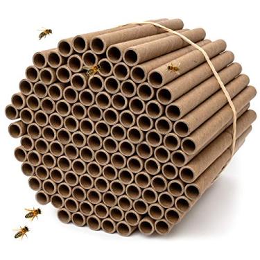 Imagem de Rivajam Pacote de refil de tubos de papelão Mason Bee House com 125 | Suprimentos de colmeia de abelha solitária e abelhas maçônicas | Kit iniciante de abelha e presente de jardim de habitat de abelha | Tubos de abelha e forros de inserção de caixa de ninho de abelha
