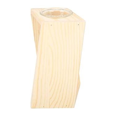 Imagem de PLANTA DE Teste DE Tubo Vidro Terrarium TUBE TERRARIO PLANTA, TERRARIO Plantas ÁNIMOLAÇÃO PARA PLANÇAS HIDIDOPONICAS Plantas Hidropônicas Desktop