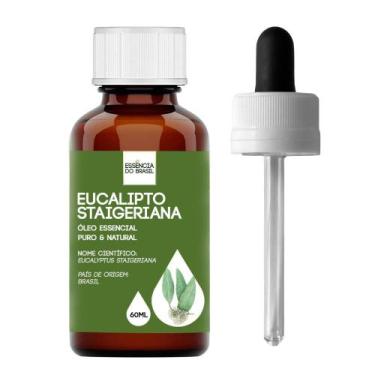Imagem de Óleo Essencial Eucalipto (lima Limão) 60ml - Puro E Natural - Essência