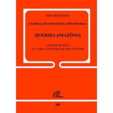Imagem de Exortação Apostólica Pós-sinodal - Querida Amazônia - Doc.209