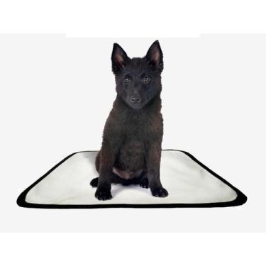 Imagem de Tapete pet reutilizável educador dog oferta 1 un M 60x80cm - SHELBY MO