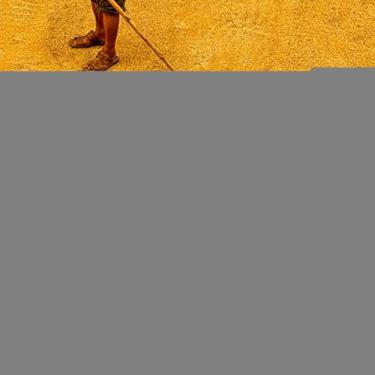 Imagem de Bothyi Cabeça de ancinho para jardim, ancinho agrícola com 21 dentes, ferramenta para remoção de folhas em jardins, pátios e gramados na primavera.