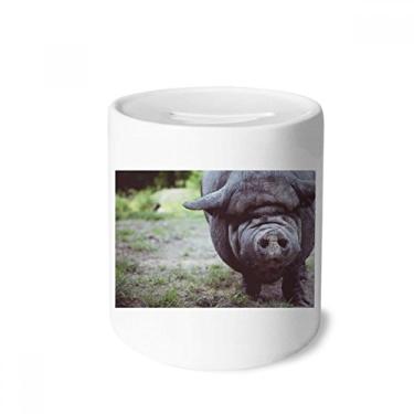 Imagem de DIYthinker Organizador terrestre para fotografia de animais selvagens caixa de dinheiro caixa de cerâmica porta-moedas presente de cofrinho