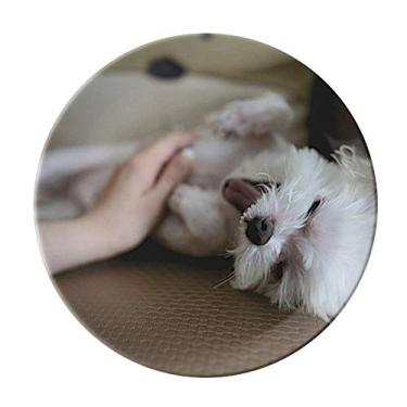 Imagem de Prato de foto fofo de animal de estimação branco de porcelana salver louça de jantar