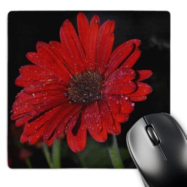 Imagem de 3dRose Mouse pad After Rain - Margarida Gerbera Vermelha - 20,32 x 20,32 cm (mp_54551_1)