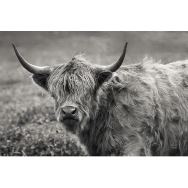 Imagem de SEVEN WALL ARTS Arte de parede Highland Cow – Fotografia de retrato de vida selvagem em preto e branco, arte em tela emoldurada de 91 cm x 61 cm para sala de estar, quarto, escritório, decoração de