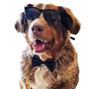 Imagem de C12 Conjunto de óculos de sol retrô + gravata borboleta ajustável para raça média, aproximadamente 8 a 18 kg, acessório de festa, cosplay, sessão de fotos (preta anos 80 + gravata borboleta preta)