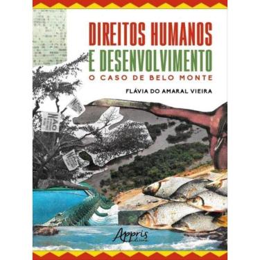 Imagem de Direitos Humanos E Desenvolvimento - O Caso De Belo Monte