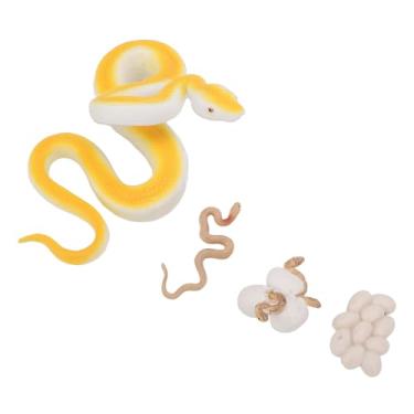 Imagem de Conjunto de Modelo de Ciclo de Vida de Cobra, Estatuetas de Ciclo de Vida de Cobra, Conjunto de Brinquedos Biológicos, Modelo de Ciclo de Crescimento de Animais, Brinquedo para