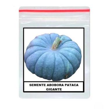 Imagem de Sementes De Abóbora Moranga Pataca 100 unidades - GDEZ