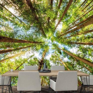 Imagem de Papel de Parede Paisagem Floresta Natureza Sala Painel - 068pcp - Allo