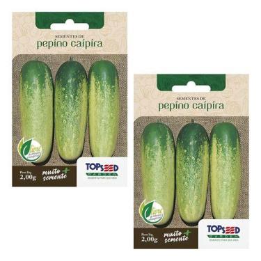 Imagem de 2x Sementes Pepino Caipira Para Mudas Hortas Alta Germinação - Topseed