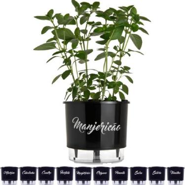 Imagem de Vaso Raiz Autoirrigável Temperos Gourmet N3 16x14 Médio Auto Irrigável