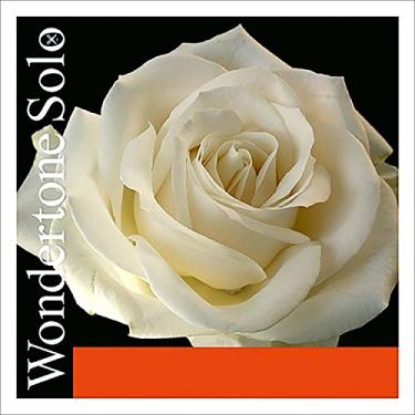 Imagem de Pirastro Conjunto de cordas para violino Wondertone Solo 4/4 – calibre médio com extremidade esférica de aço E