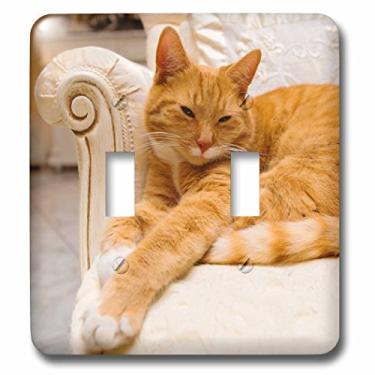 Imagem de 3D Rose LSP_236171_2 gato malhado laranja feliz relaxando na poltrona chique interruptor duplo