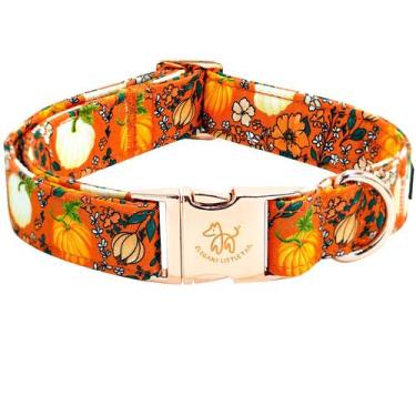 Imagem de Coleira de cachorro: elegante rabo pequeno, algodão com estampa de abó