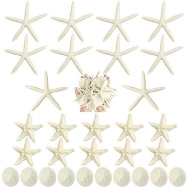 Imagem de Conjunto de 15 peças de resina Queekay Starfish & Sand Dollars