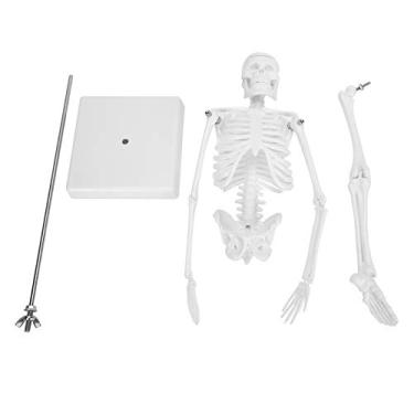 Imagem de 7 Polegadas,Modelo De Corpo Humano De Anatomia Científica De 17, Modelo De Esqueleto Humano, Membros Móveis, Braços E Pernas Móveis, Modelo De Aprendizado De Ensino Educacional, Fácil De Montar, Para