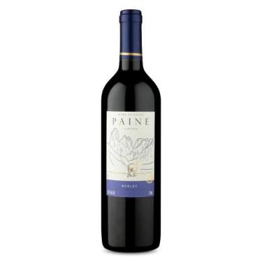 Imagem de Vinho Tinto Chileno Paine Merlot 2023 Seco 750ml - Vyf Wines