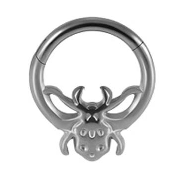 Imagem de Niaspi G23 Anel de Septo Aranha de Titânio 16G Argola de Nariz Articulada Clicker Anéis de Nariz 8 mm Aranhas de Cartilagem Brincos Piercing Corporal Joias para Mulheres Homens (Prata)