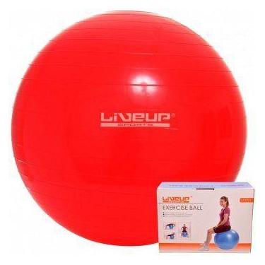 Imagem de Bola Suiça 45cm sem bomba - Liveup