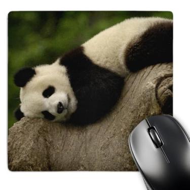 Imagem de 3dRose Mouse pad LLC 20 x 20 x 0,65 cm, Giant P and a Bears, Wolong China Conservation, China-As07 Pox0364 - Pete Oxford (mp_70202_1)
