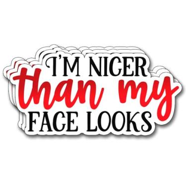 Imagem de (3 peças) Adesivo I'm Nicer Than My Face Looks Frases engraçadas Frases Humorísticas Decorar Livros Laptop Telefone Garrafas de Água Kindles Tumbler Adesivos de Vinil Impermeável 7,6 x 4,3 cm