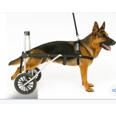 Imagem de Cadeira de Rodas Ajustável para Cães, Suporte de Mobilidade para Reabilitação, Estrutura em Alumínio, Preto e Prata, para Cães. SEMI NOVA XG