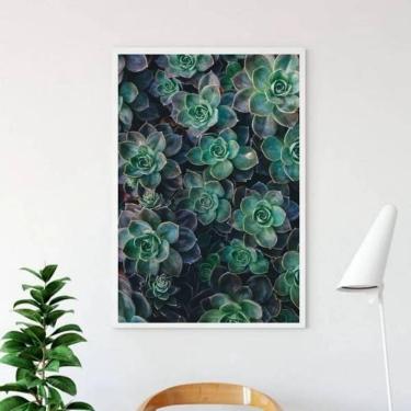 Imagem de Quadro Fotografia Suculentas 45X34 Com Vidro Moldura Branca