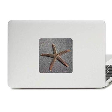 Imagem de Adesivo cinza de parede, estrela-do-mar ciência natureza imagem decalque vinil paster laptop decoração PC