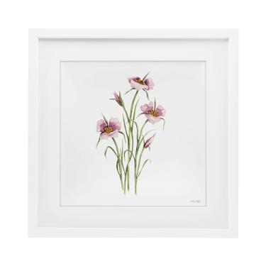 Imagem de Stupell Industries Impressão emoldurada branca botânica fúcsia mariposa sob vidro, design de Cindy Jacobs, 13 x 13