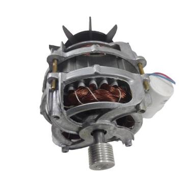 Imagem de Motor Tanquinho 440w Lava Até 20kg Vários Modelos 1/3cv 220v - ERMS