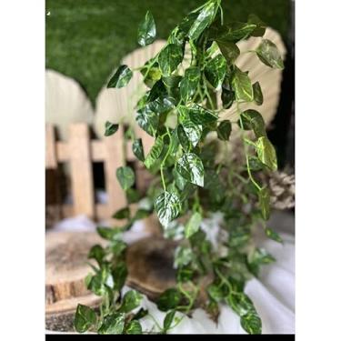 Imagem de Buquê de folhas de trepadeira com 9 ramos de plantas-(É mais favorável comprar os pacotes) (1,Jiboia)