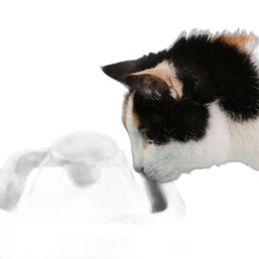 Imagem de Fonte Água Gato Cães Pet Filtro 2,5L USB - Branca