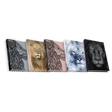 Imagem de Kit com 5 Bíblias do Leão - Capa Dura - NAA