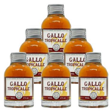 Imagem de Miniatura Drink Gallo Tropicalle APTK Spirits 100ml 6un