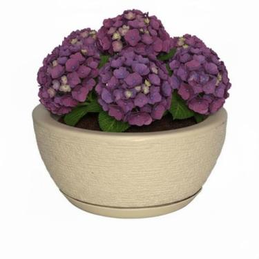 Imagem de Vaso Escovado Polietileno Bacia 1 Bege - CABANA DECOR