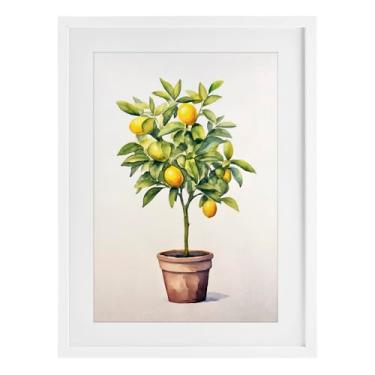 Imagem de Stupell Industries Serenata de árvore cítrica impressão emoldurada branca sob vidro design por Andrea Haase, 23 x 17