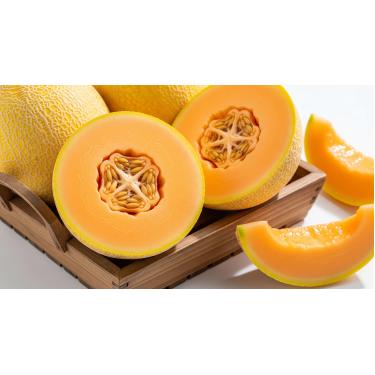 Imagem de 100 Sementes de Melão Sweet Golden – Casca Amarela Vibrante e Polpa Doce | Cultivo Fácil para Jardins e Vasos