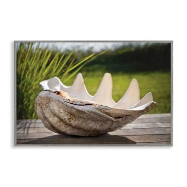 Imagem de Stupell Industries Arte giclée emoldurada cinza Sea Treasure Shell, design por Seven Trees Design, 40 x 61 cm