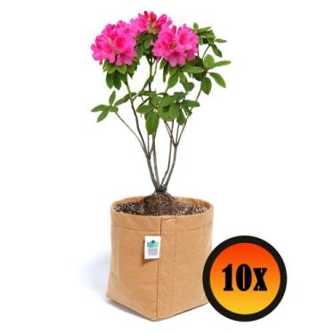 Imagem de 10 Vasos De Plantas De Suculentas 4 Litros - King Pot, Caramelo