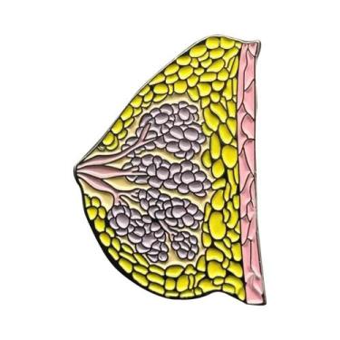 Imagem de Broche Esmaltado de Anatomia Renal - Joia Médica para Médicos e Enferm