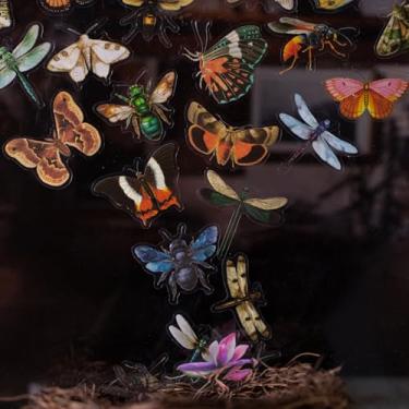 Imagem de Pacote de 100 adesivos de insetos, adesivos transparentes realistas de insetos, borboletas, besouros, aranhas, abelhas, libélulas, à prova d'água, estética, natureza, adesivos para decoração de diário