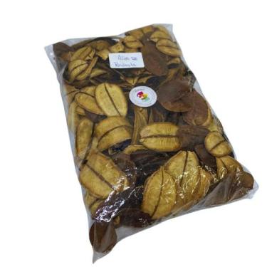 Imagem de Semente Asa de Barata Desidratado p/ Decoração - Pense Flores